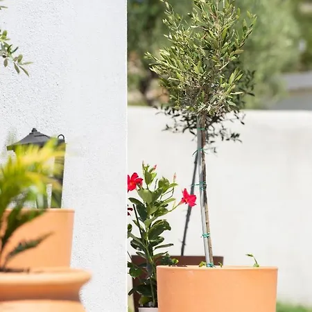 Casa Alati Holiday home *